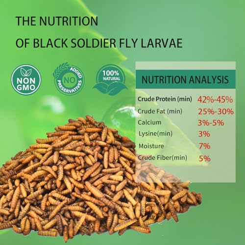 Dried Black Soldier Fly Larvae 10LB-Pure Natural Non-GMO BSF Larvae for Chickens-More Calcium Than Mealworms High-Protein Chickens Treats for Layer Hens Wild Birds Ducks
