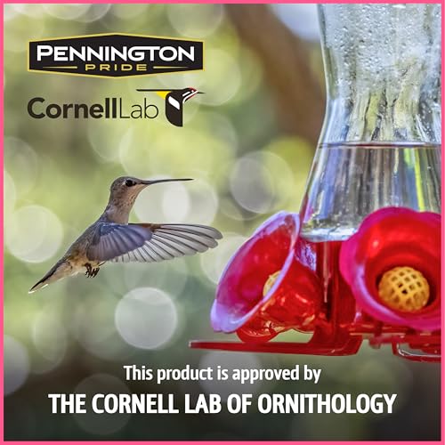Pennington Electro-Nectar Hummingbird Nectar Ready to Use, Naturally Colored with Electrolytes, 64-oz Bottle