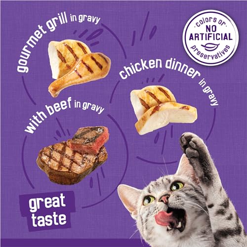 Purina Friskies Gravy Wet Cat Food Variety Pack, Meaty Bits - (Pack of 24) 5.5 oz. Cans