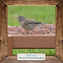 Morning Song Dove & Ground Feeding Wild Bird Seed -12 lb. Dove, Quail & Pigeon Wild Bird Food for Outside Feeders