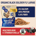 Hatortempt 10lb Dried Black Soldier Fly Larvae - More Calcium Than Mealworms for Chickens - High Protein Chicken Feed Treats for Laying Hens, Wild Birds and Duck Food