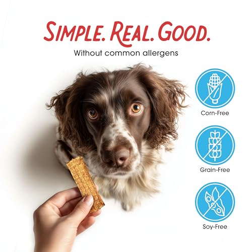 Farmland Traditions Filler Free Dogs Love Chicken Premium Jerky Treats for Dogs, 3 lb. Bag
