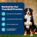 Blue Buffalo Life Protection Formula Beef & Brown Rice Adult Dry Dog Food, Supports Immunity with Antioxidant-Rich LifeSource Bits, Promotes Healthy Muscle Development, Skin & Coat Health, 5 lbs.