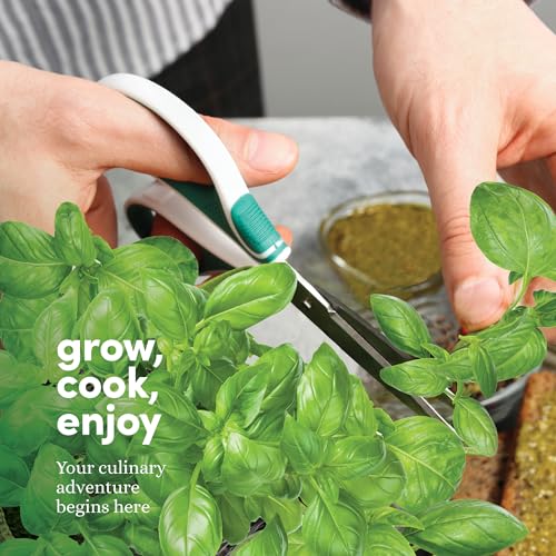 9 Herb Indoor Window Garden Kit - House Plants Seeds - Birthday Gifts | Best Unique Gift Ideas for Women, Mom, Friend, Her, Housewarming, Mother - Live Plant Starter, Gardening Lovers