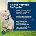 Blue Buffalo Life Protection Formula Chicken & Brown Rice Puppy Dry Dog Food with DHA & ARA, Supports Immunity with Antioxidant-Rich LifeSource Bits, Promotes Healthy Muscles & Strong Bones, 5 lbs.