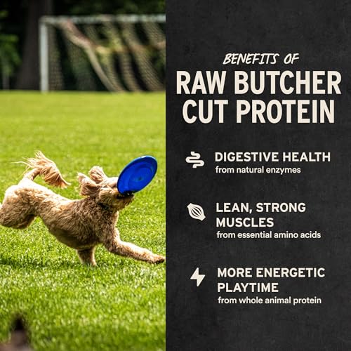 Vital Essentials Freeze Dried Minnows Dog Treats | Single Ingredient | Premium Quality | Grain Free Treats for Dogs, 2.5 oz Bag