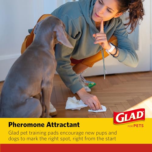 Glad for Pets Activated Carbon Disposable Dog Training Pads, 100 Count | Ideal for puppies, senior dogs, incontinence, and post-surgery, ultra-absorbent, keeps floors & crates dry, 23 x 23 in