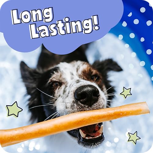 Pawstruck Natural Large 12" Beef Collagen Sticks for Dogs – Long-Lasting Rawhide Alternative, High Protein Treats with Chondroitin & Glucosamine – 5 Pack