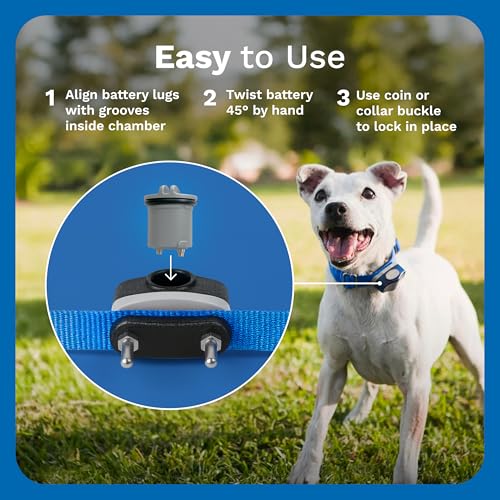 Invisible Fence Power Cap Battery, 2-Pack