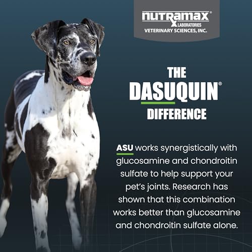 Nutramax Dasuquin MSM Joint Supplement for Large Dogs, Soft Chews, 84ct | Glucosamine and Chondroitin, ASU, MSM, Supports Healthy Joints, For Dogs Over 60 lbs, All Ages, Soft Chews