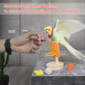 Bird Toys,Parrot Training Toys for Lovebird,Five-Types Parakeet Toys Sets for Conure, Cockatiel,12 PCS Parrot Intelligence Toy,Basketball Hoop,Skateboard,Stacking Toys,Wooden Block Bird Puzzles Toy