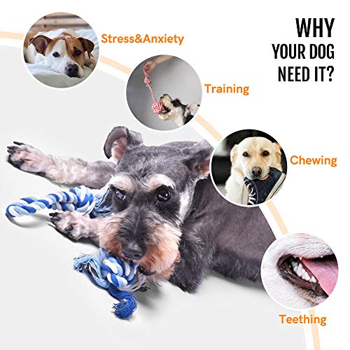 Fida Dog Rope Toys 4 Pack, Puppy Teething Sturdy Cotton Chew Tug Ropes Indoor/Outdoor, Exercise Interactive Tug O'War Toys Set for Boredom Small-Meidum Dogs