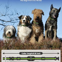 SLOPEHILL Dog Training Collar with Remote, 4200FT Electronic Shock Collar,Waterproof E-Collar with Beep, Vibration, Shock, Flash Light and No Shock Mode, Fit for Small Medium Large Dogs (Green)