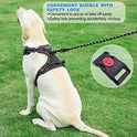 tobeDRI No Pull Dog Harness Adjustable Reflective Oxford Easy Control Medium Large Dog Harness with A Free Heavy Duty 5ft Dog Leash