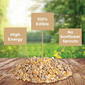 Kaytee Wild Bird (No Mess or Waste Free) Food Seed Blend For Blue Jays, Woodpeckers, Juncos, Cardinals, Grosbeaks, Sparrows, and Finches, 10 Pound, (Packaging May Vary)