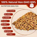 BUNTIE WORMS Dried Black Soldier Fly Larvae 10LB, 100% Natural Non-GMO, No Additives, Treat for Chickens, Reptiles and Birds, More Calcium Than Mealworms