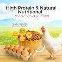 RANZ 2LBS Non-GMO Dried Mealworms for Chickens, High Protein Meal Worms, Premium Chicken Feed, Whole Large Mealworms for Blue Birds, Ducks, Fish