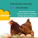 Dried Black Soldier Fly Larvae 10LB-Pure Natural Non-GMO BSF Larvae for Chickens-More Calcium Than Mealworms High-Protein Chickens Treats for Layer Hens Wild Birds Ducks