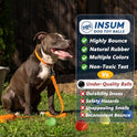 INSUM Tennis Balls for Dogs - 12 Pack 2.5'' Durable Non-Toxic Outdoor Dog Toys Balls with Mesh Bag, SGS Certified, Colorful Fetch Toys, Medium Large Breeds (Non Squeaky)