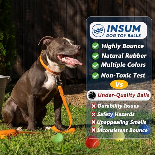 INSUM Tennis Balls for Dogs, 2.5in, 12-Pack