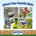 Backyard Seeds Black Oil Sunflower Seeds for Wild Birds 50lbs - Thin Shells, Premium Cardinal Food, Large Bulk Bag of Black Oil Sunflower Seeds