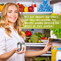 Purriko Refrigerator Deodorizer,Lasts up to 10 Years,Refrigerator Odor Eliminator,Fridge Deodorizer,More Effective Than Baking Soda Bamboo Air Purifying Bags