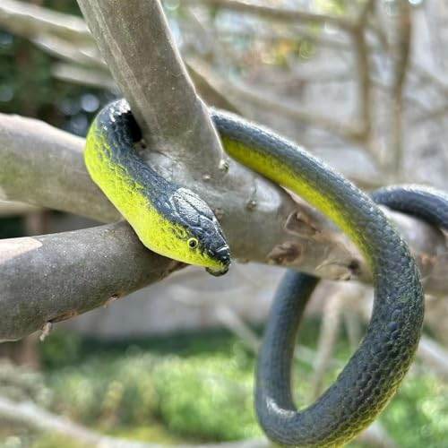 Fake Snake Soft Rubber Snake Toy, 4 Pieces Realistic Plastic Snakes for Garden to Keep Birds Away, Novelty Toys for Playing Jokes Prank Stuff Props for Halloween April Fools Party Favor