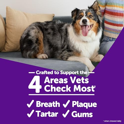 Whimzees Wellness Brushzees Natural Dog Dental Treat, VOHC Accepted Chews, Freshens Breath, Extra-Small Size, 12.7 oz Bag, 48 Count