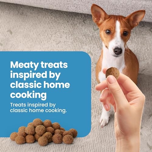 Blue Buffalo Nudges Beef & Rice Homestyle Natural Dog Treats, Meatball-Inspired Recipe, Healthy Reward or Training Treat, Made in the USA with Real Beef, No Artificial Preservatives, 16 oz.