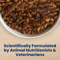 Blue Buffalo Life Protection Formula Chicken & Brown Rice Adult Dry Dog Food, Supports Immunity with Antioxidant-Rich LifeSource Bits, Promotes Healthy Muscle Development, Skin & Coat Health, 5 lbs.