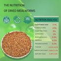 Dried Mealworms 10LB Pure Natural Non-GMO Mealworms for Chickens High Protein Chickens Feed Meal Worms for Laying Hens Wild Birds