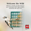 C&S Suet Variety Value Pack, Peanut Delight Dough & Berry Treat, Wild Bird Food, Year Round Source of Energy for Birds, 24 Pack