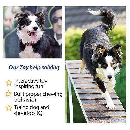 Fida Dog Rope Toys 4 Pack, Puppy Teething Sturdy Cotton Chew Tug Ropes Indoor/Outdoor, Exercise Interactive Tug O'War Toys Set for Boredom Small-Meidum Dogs