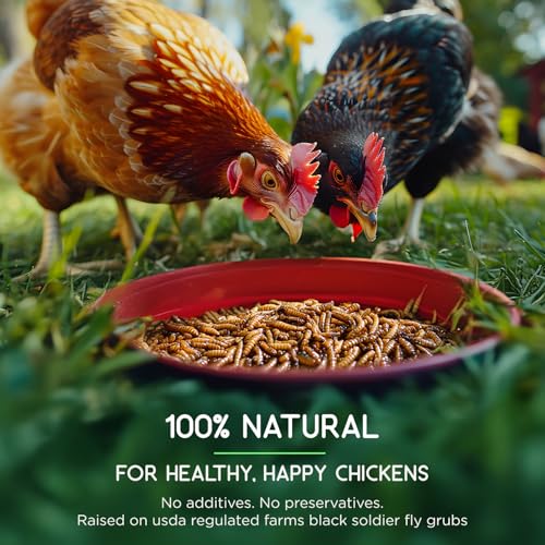 FLYGRUBS 5 lb Dried Black Soldier Fly Larvae - High-Calcium Chicken Treats for Laying Hens and Wild Birds - Nutrient-Rich Mealworm Alternative - Supports Feather Growth and Strong Eggshells