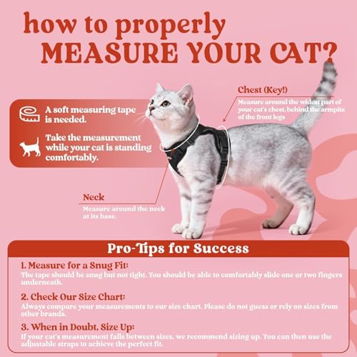 rabbitgoo Cat Harness and Leash for Walking, Escape Proof Soft Adjustable Vest Harnesses for Cats, Easy Control Breathable Reflective Strips Jacket, Black, XS