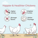 Mile Four Organic Chicken Feed – Starter Chick Mash, Non-GMO, USA Grown, 21% Protein, Corn-Free, Soy-Free, Non-Medicated Chick Feed, 2 lb Sample
