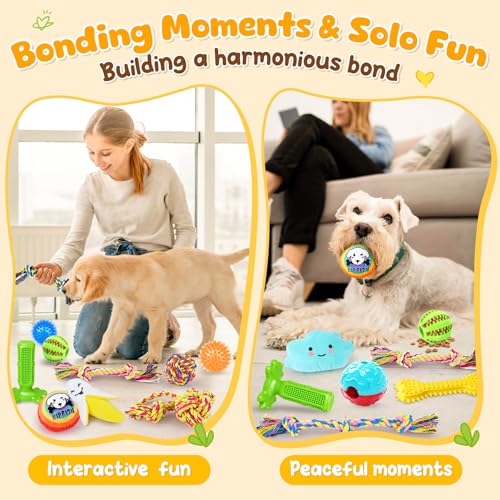 KIPRITII 25 Pack Various Dog Toys Set – Ideal for Teething, Entertainment & Interactive Play, Includes Puppy Toys, Rope Toys, Treat Balls and Squeaky Dog Toys