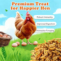Amzey 11 LBS Dried Black Soldier Fly Larva - All Natural BSF Larvae - 85X More Calcium Than Mealworms - High Calcium Treats for Chickens, Birds, Reptiles, Hedgehog, Geckos, Turtles