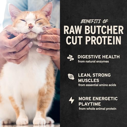 Vital Essentials Freeze Dried Minnows Cat Treats | Single Ingredient | Premium Quality | Grain Free, Healthy Treats for Cats, 1 oz Bag