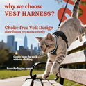 rabbitgoo Cat Harness and Leash for Walking, Escape Proof Soft Adjustable Vest Harnesses for Cats, Easy Control Breathable Reflective Strips Jacket, Black, XS