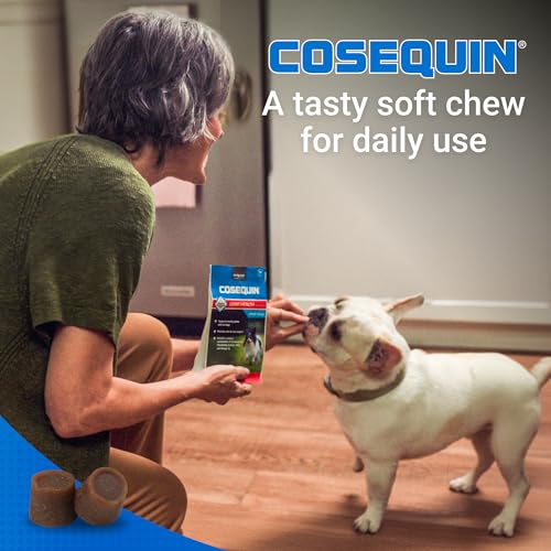 Nutramax Cosequin for Small Dogs, Joint Health Supplement, Contains Glucosamines, Chondroitin, MSM and Omega-3s, Supports Joint and Skin and Coat Health, Soft Chews, 45 Count