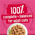 Purina Friskies Gravy Wet Cat Food Variety Pack, Surfin’ and Turfin’  Filets Favorites - (Pack of 40) 5.5 oz. Cans