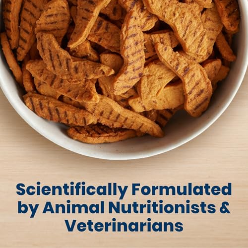 Blue Buffalo Nudges Chicken Grillers Natural Dog Treats, Tender & Meaty Dog Snacks, Easy-To-Tear for Training, Made in the USA with Real Chicken, No Artificial Preservatives, 16 oz.