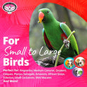 Super Bird Creations SB708 Wind Chimes Bird Toy, Medium Bird Size, 13” x 2”