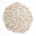 Wagner's 57075 Safflower Seed Wild Bird Food, 5 Pound (Pack of 1)
