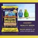 Hagen Parakeet/Budgie Staple White Millet Bird Seed – Premium Blend, Nutritionally Balanced, Fortified with Vitamins & Minerals, Dust-Free Mix for Budgies, 6 lb Bag