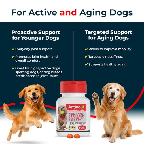 Antinol Plus Mobility Hip & Joint Supplement for Dogs, 120 Soft Gels | Green-Lipped Mussel Oil and Krill Oil for Better and Faster Results than Glucosamine and Chondroitin