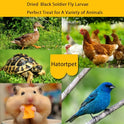 Dried Black Soldier Fly Larvae 20LB-Pure Natural Non-GMO BSF Larvae for Chickens-More Calcium Than Mealworms High-Protein Chickens Treats for Layer Hens Wild Birds Ducks