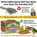 Nemeth Farms Spray Millet - Edible Tops Only, Non-GMO and Sun-Dried - 1 lb for Parakeets, Canaries and Finches