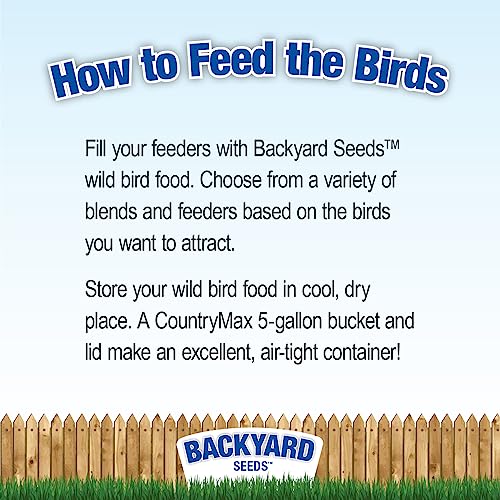 Backyard Seeds Black Oil Sunflower Seeds for Wild Birds 50lbs - Thin Shells, Premium Cardinal Food, Large Bulk Bag of Black Oil Sunflower Seeds